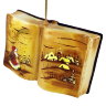 Волшебная книга  золотая, 9 см